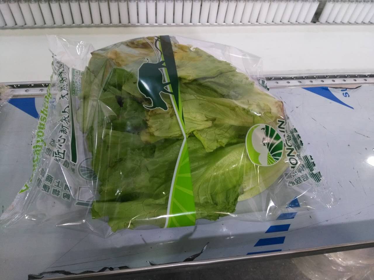 leaf green vegetable flow packing machine